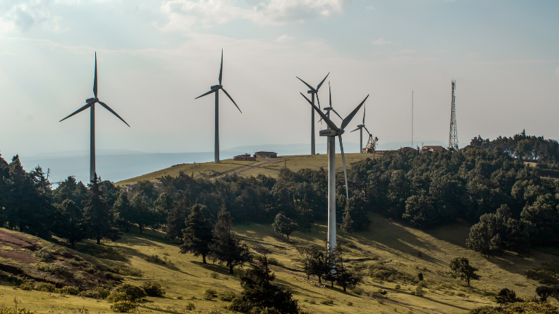 Para Fernando Trabach Filho, el viento se ha convertido en motor de crecimiento económico y reducción de emisiones en varias regiones del Brasil.