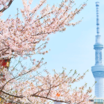 Alberto Toshio Murakami explica cómo prepararse financieramente para viajar a Japón e Italia, considerando el cambio de moneda y los costos.