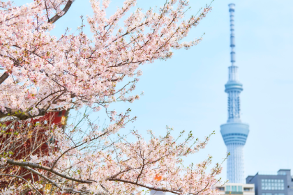 Alberto Toshio Murakami explica cómo prepararse financieramente para viajar a Japón e Italia, considerando el cambio de moneda y los costos.