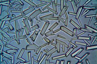 Estruturas cristalinas observadas em close-up por meio de um microscópio
