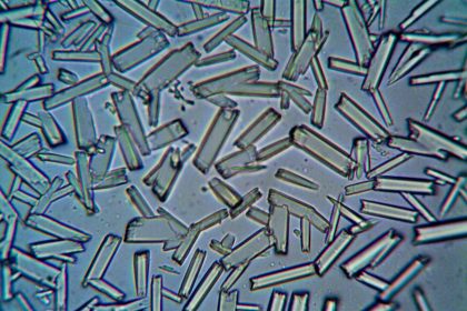 Estruturas cristalinas observadas em close-up por meio de um microscópio